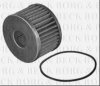 BORG & BECK BFF8103 Fuel filter